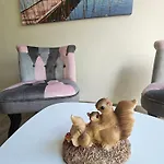 Le Petit Ecureuil Jardin Terrasse *
