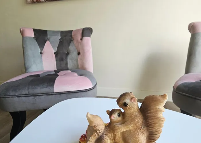 Le Petit Ecureuil Jardin Terrasse *